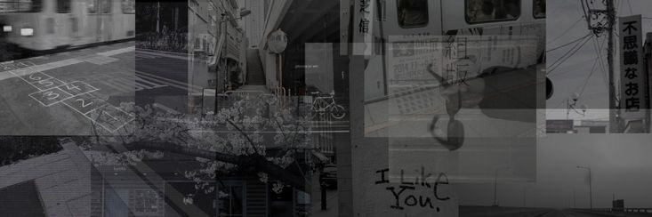 rin banner