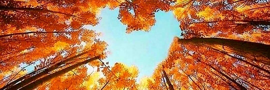 conniemarples's profile banner image