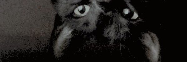 moongvilt Profile Banner