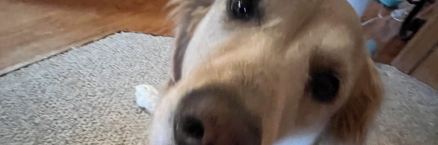 Toast PRIVATE banner