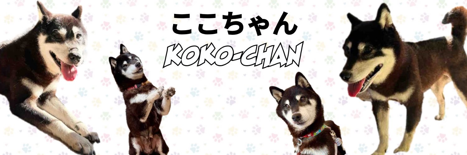 kokochaneth's profile banner image