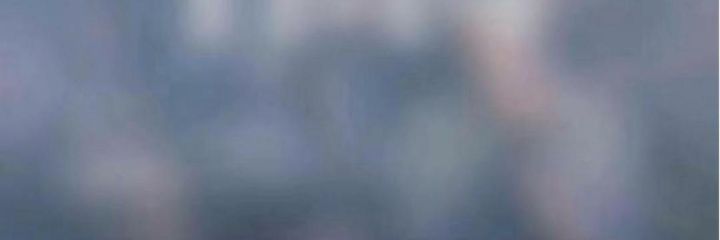 peter jane banner
