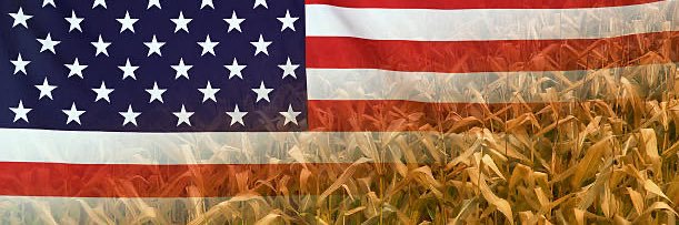 Brianmorris78's profile banner image