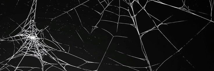 rukiahill's profile banner image