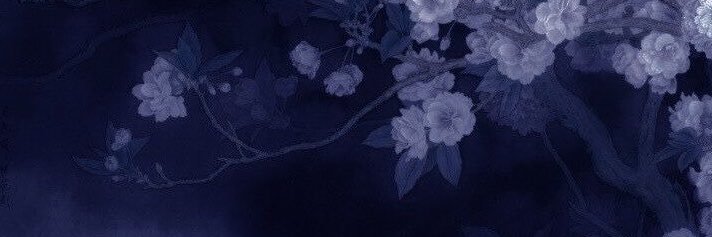maimurariki's profile banner image