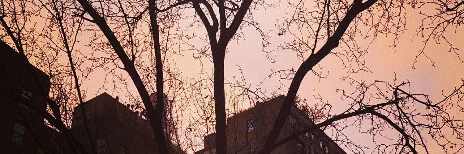 jayrenee510's profile banner image