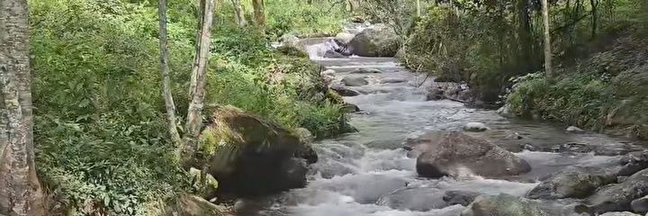 Débora Santos banner