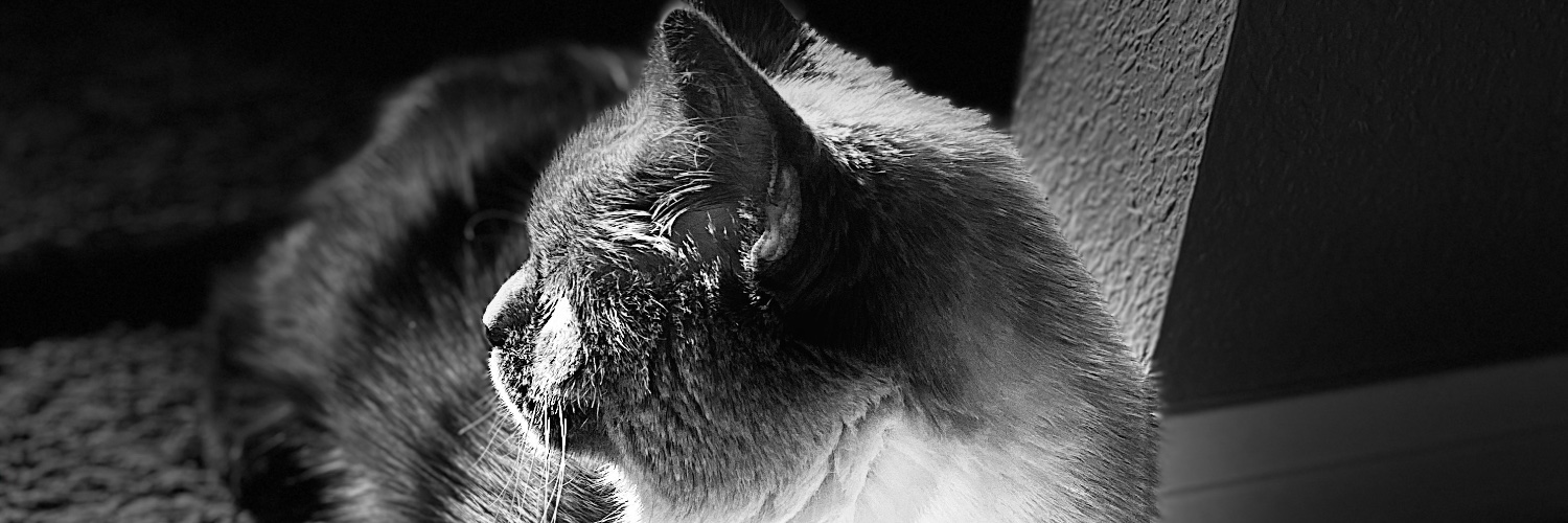 ColoTwinMom's profile banner image