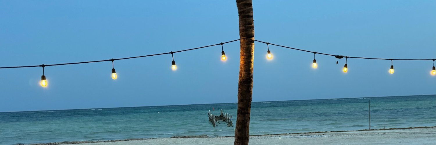 ArashAmini's profile banner image