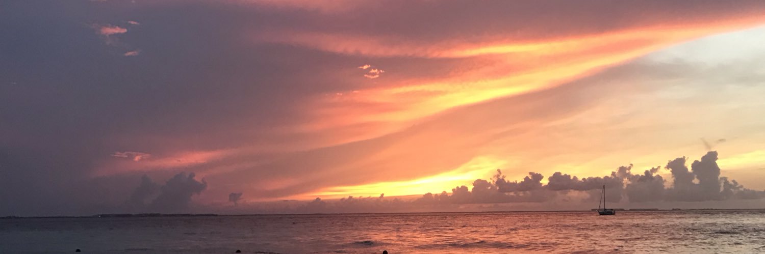 CariPardiki's profile banner image