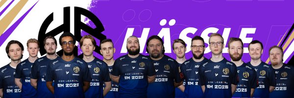 hassleesports Profile Banner