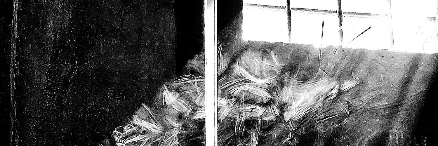 ČƐŢÄĶÃŊPƏŘŤĄMÅ banner