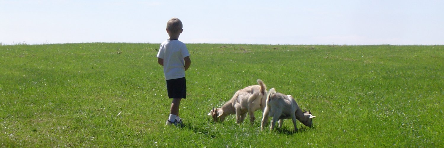 jamemascaro's profile banner image