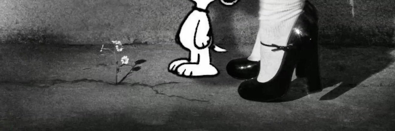 ✰ banner