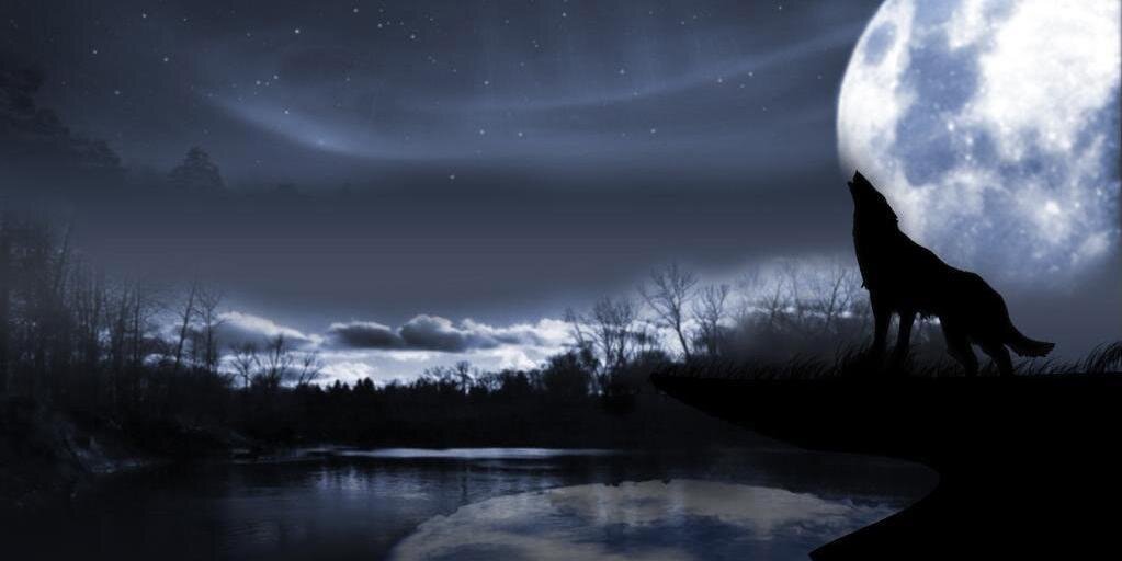 widhidhona13's profile banner image