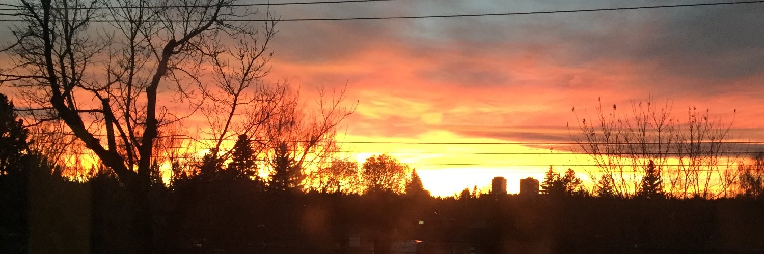 Lover of Jesus banner