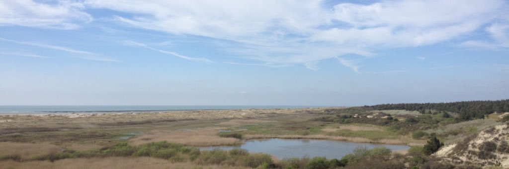 Emeline Gasnier banner