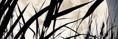 bamnmf's profile banner image