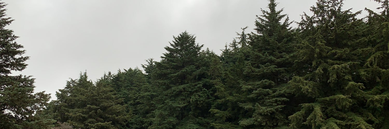 ulisesnegrete's profile banner image