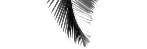 _Leksie's profile banner image