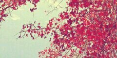 unfollow me banner