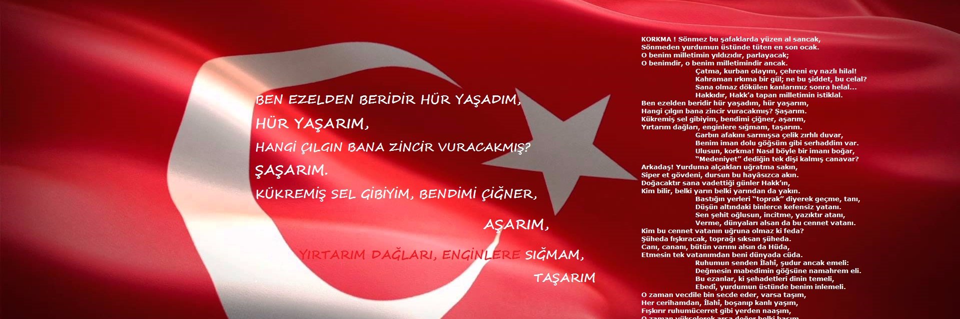 mrtugur's profile banner image