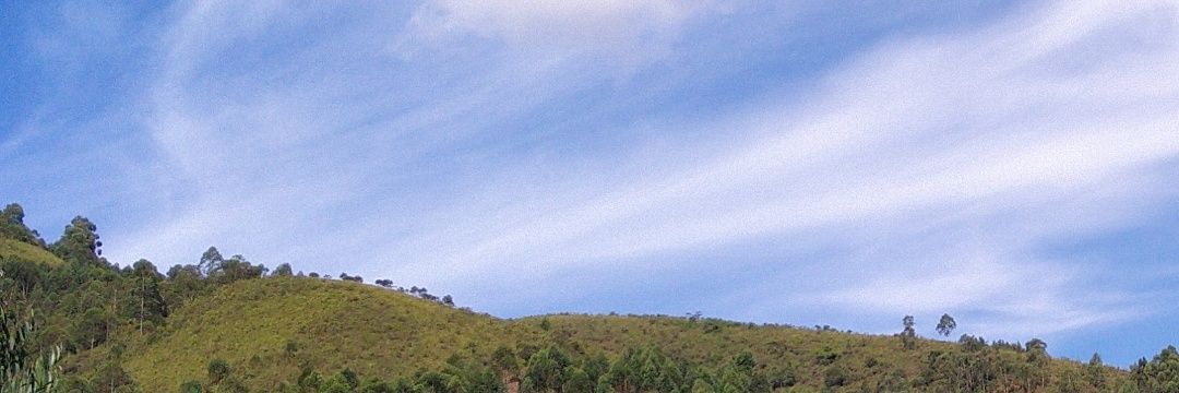 Akatwijuka Mandera🇺🇬 banner