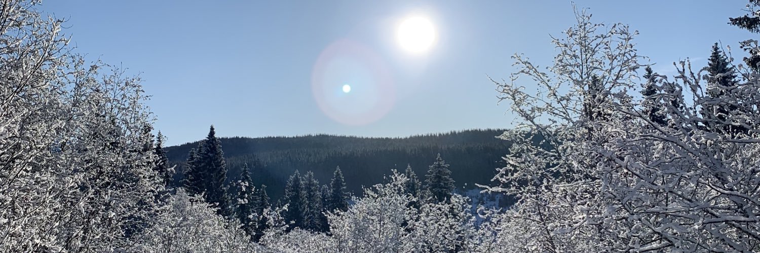 tildanilssoon's profile banner image