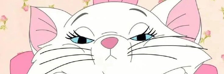 🎀 banner