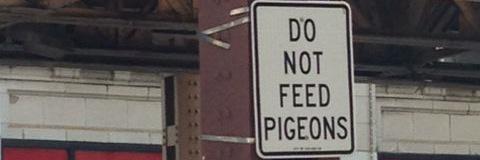 Janet Rausa Fuller banner