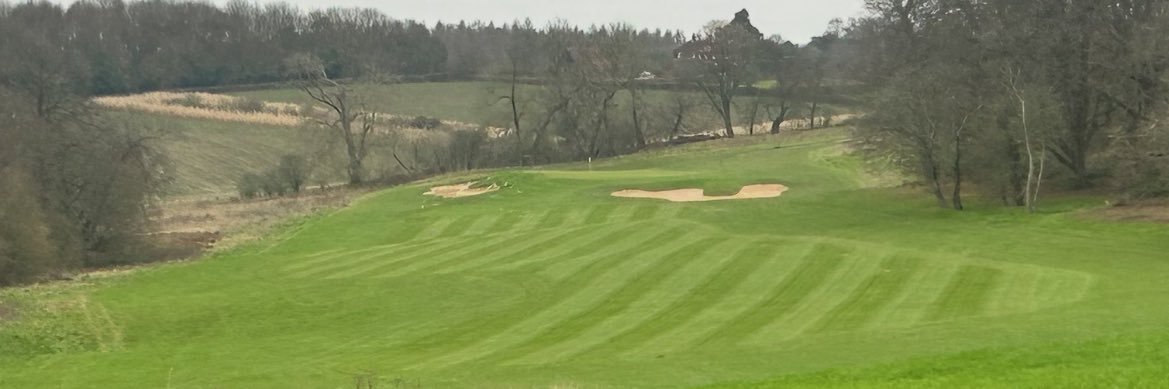 Matthew Reed 💙 banner