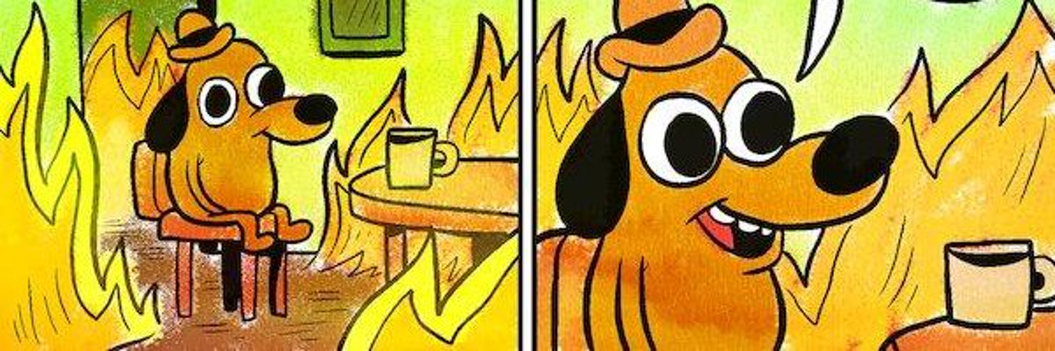 пейзажи россии. песик в горящем доме. собака it`s fine. все так чудно вокруг. все так чудно вокруг.