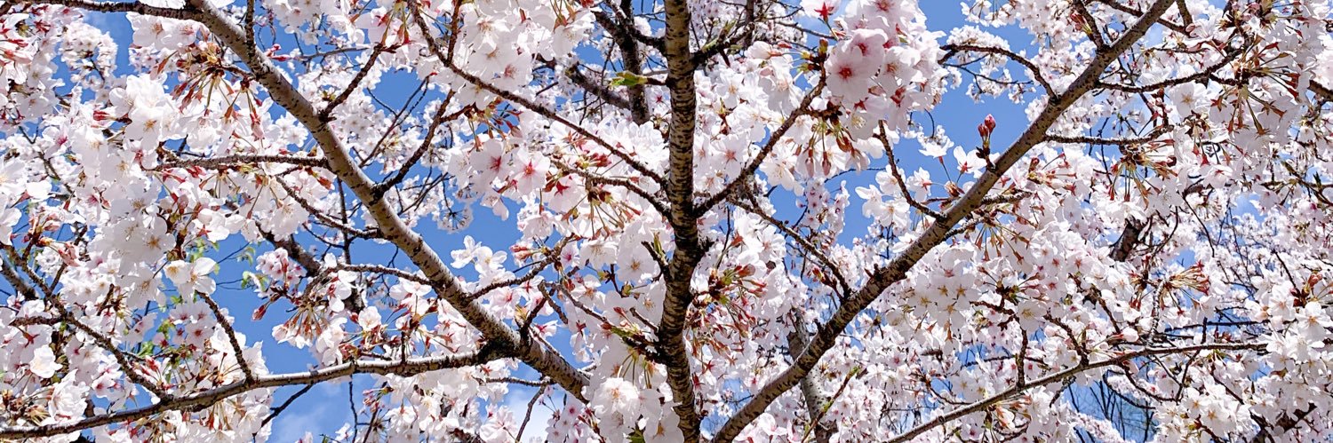 Paruru_24's profile banner image