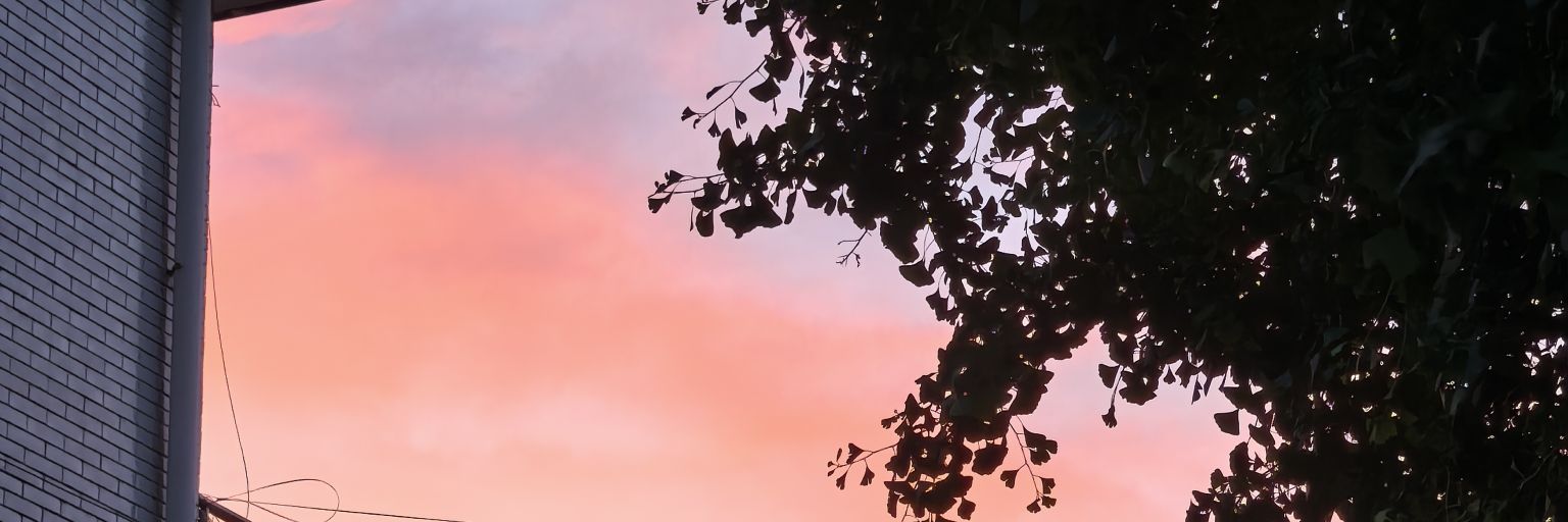 q0077521's profile banner image