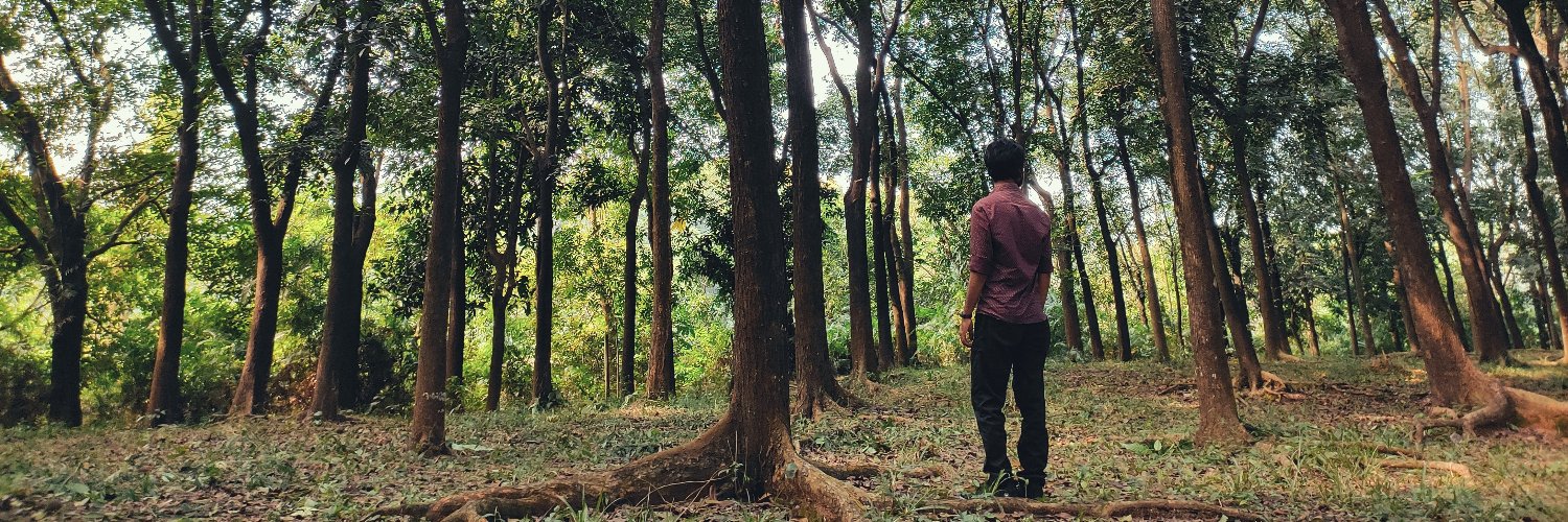 Ibtidrasel's profile banner image