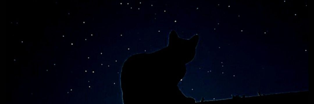 dfinalcoundown's profile banner image