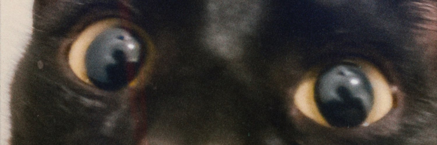 slapsgivingg's profile banner image