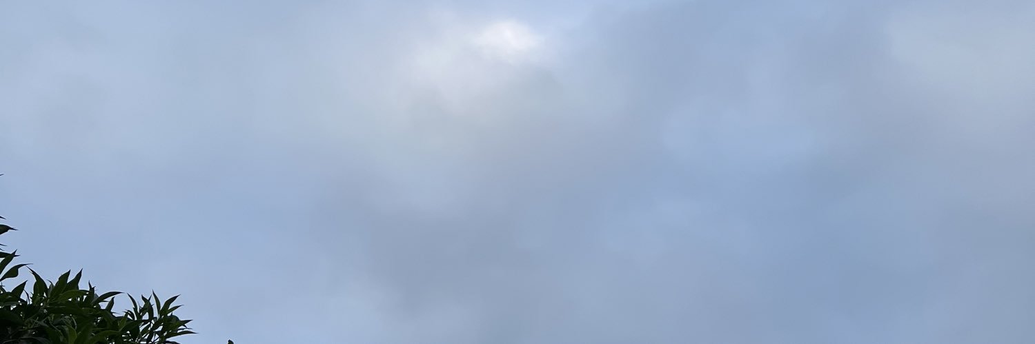 yfernandezato's profile banner image