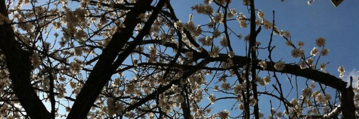 oucan_'s profile banner image