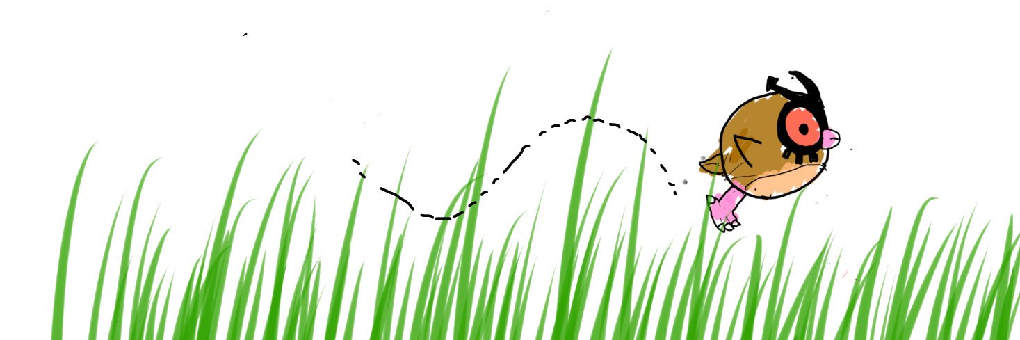ホーホー banner