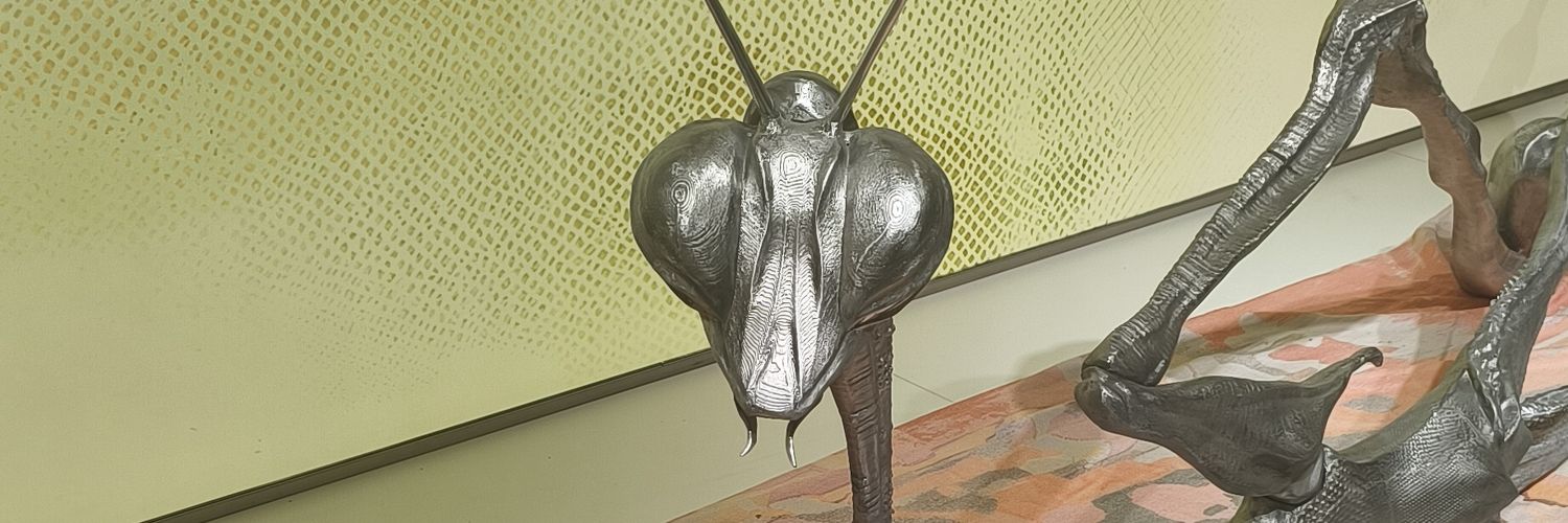 Joe Barbarian banner