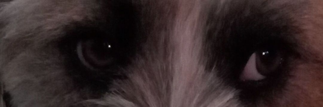 Oliicocuzza's profile banner image