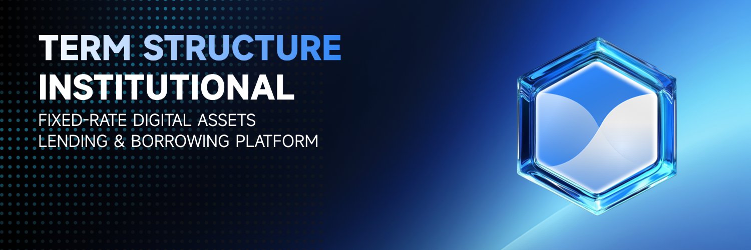 Term Structure Institutional banner