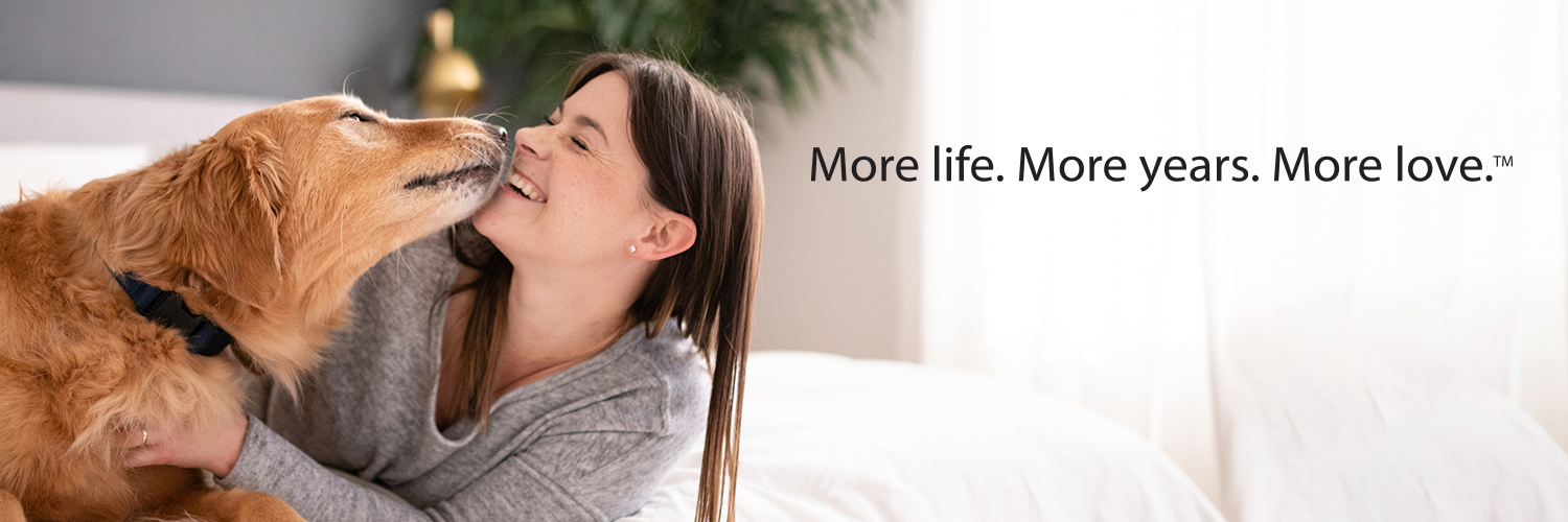 JustFoodForDogs™ banner