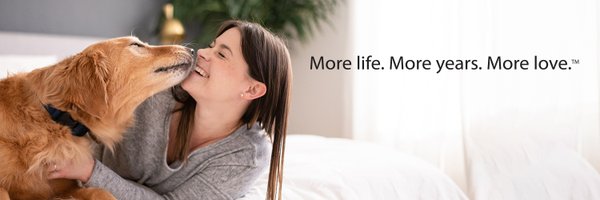 JustFoodForDogs Profile Banner