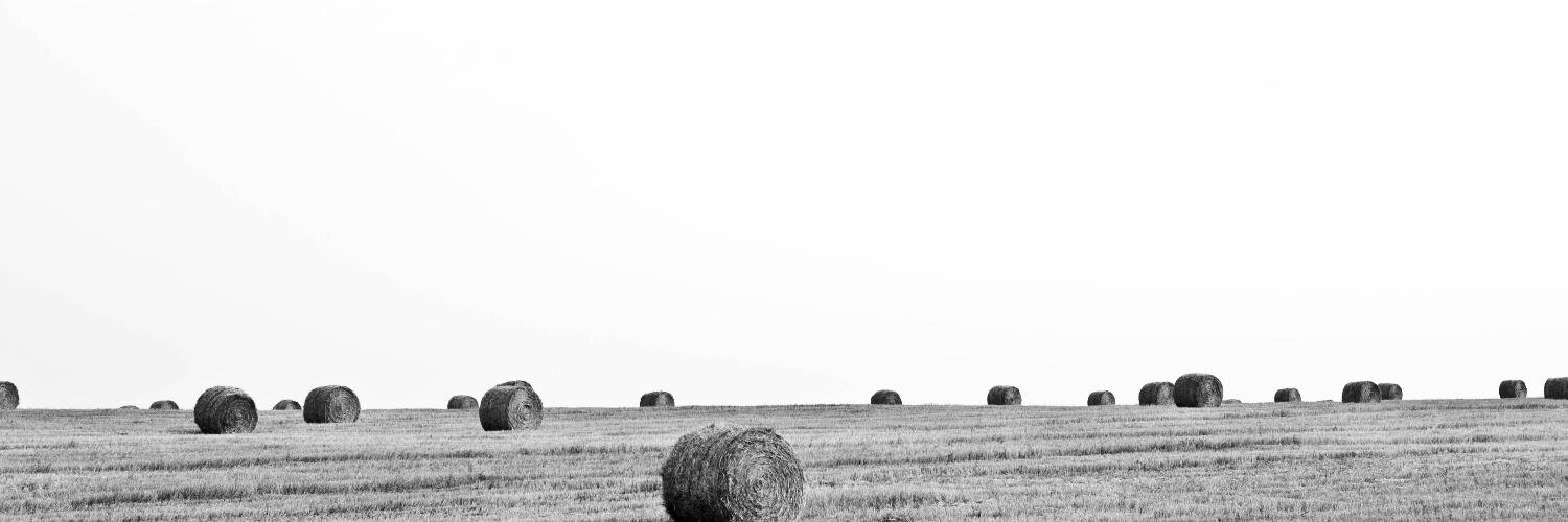 KoenSchaft's profile banner image