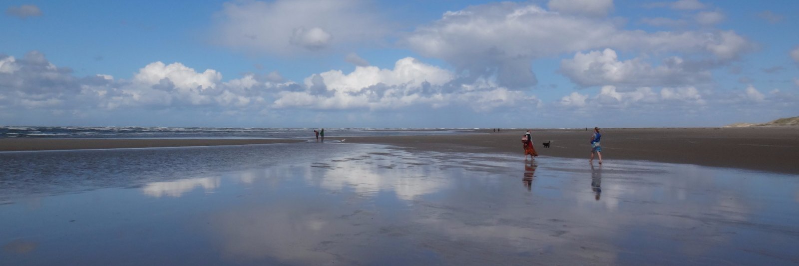 Ferdinand Swart banner