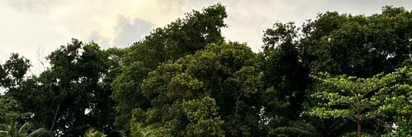 BeninBookClub Profile Banner
