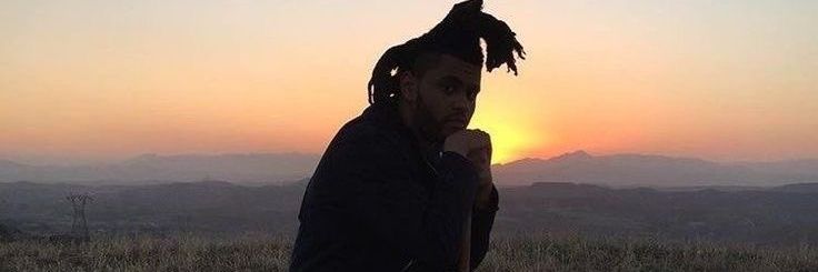 ⋆𐙚perrie₊'s banner