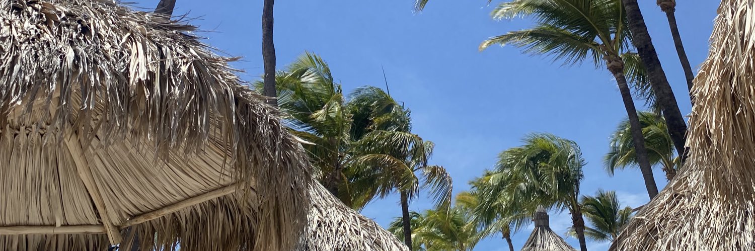 Daniella Groh banner